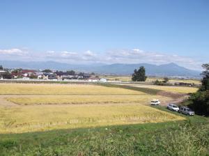 若宮地区の様子