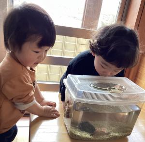 生き物